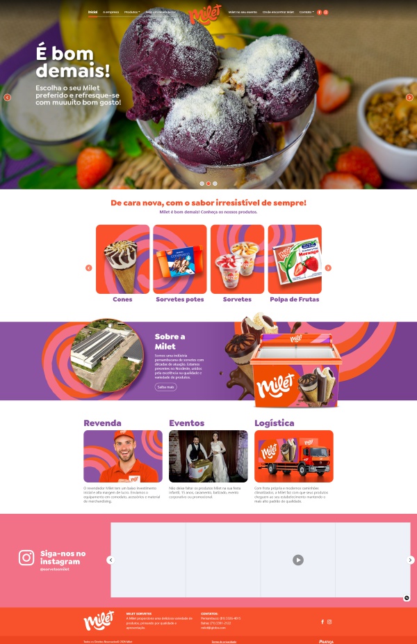 Print da página 3 do site