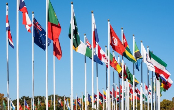 Quais os tipos de domínios mais usados no mundo?